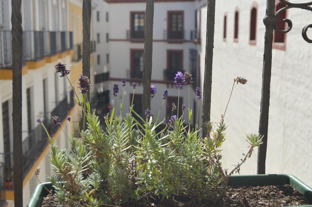 Isg Apartments Precioso Atico Con Terraza Privada En El Centro Sevilla Exterior foto